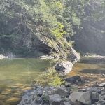 Green Ridge campsite 84