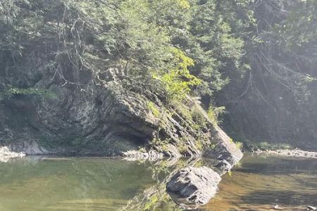 Green Ridge campsite 84