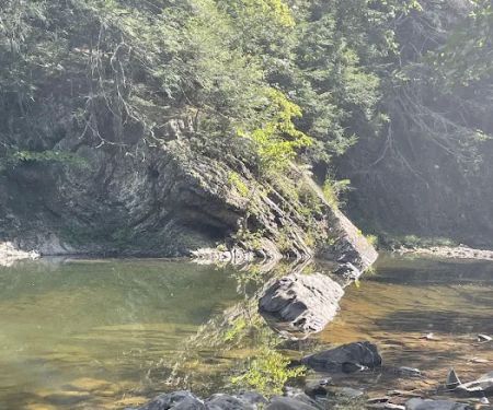 Green Ridge campsite 84