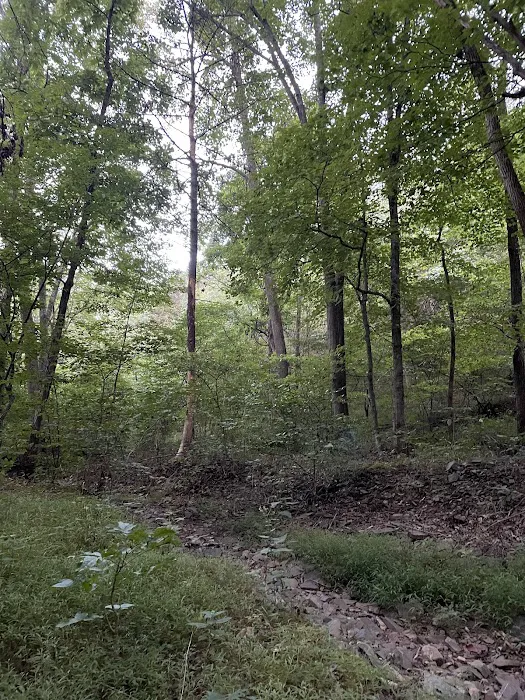Green Ridge campsite 84 3