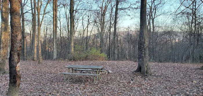 Green Ridge State Forest, campsite #83 3