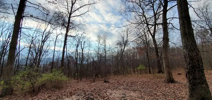 Green Ridge State Forest, campsite #83 1
