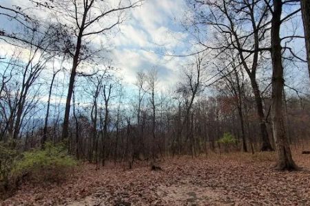 Green Ridge State Forest, campsite #83