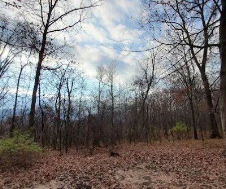 Green Ridge State Forest, campsite #83