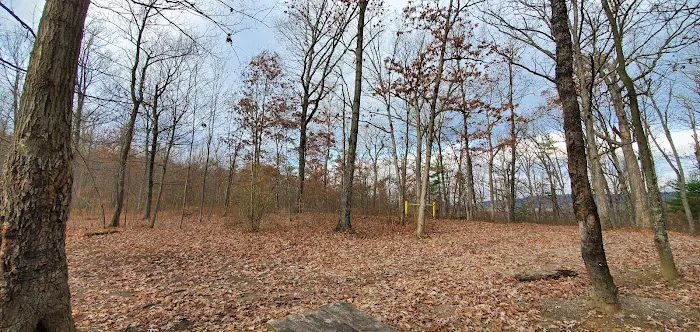 Green Ridge State Forest, campsite #83 2