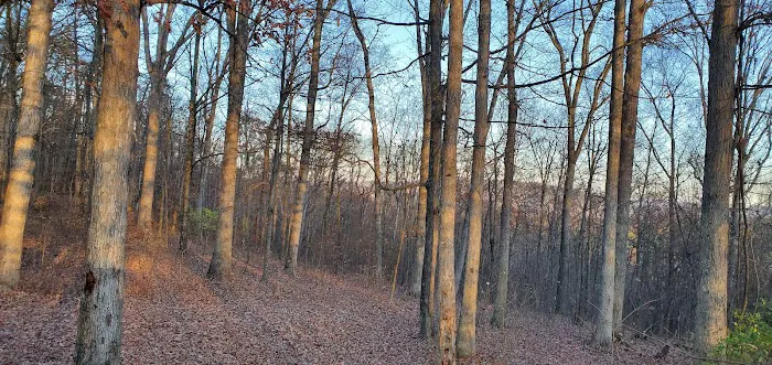 Green Ridge State Forest, campsite #83 4
