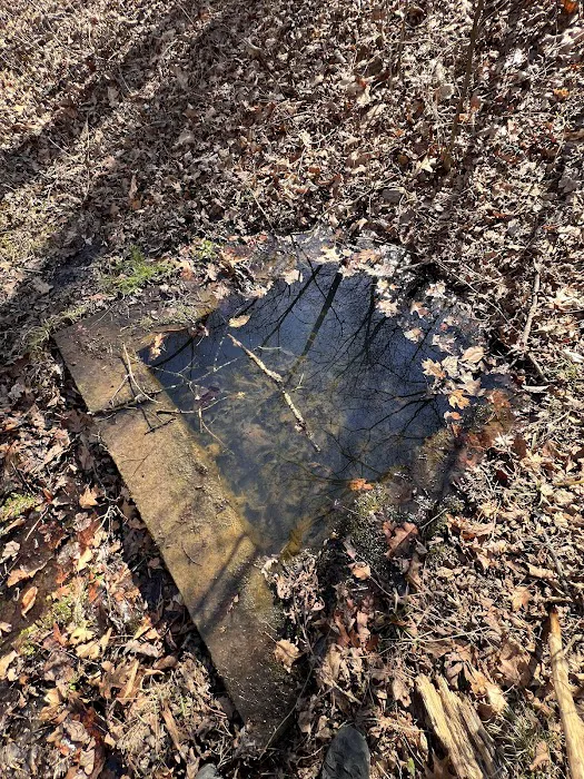 Green Ridge State Forest Campsite #85 3