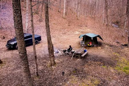 Green Ridge State Forest Campsite #85