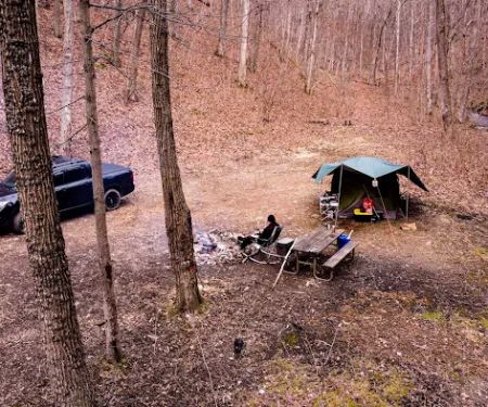 Green Ridge State Forest Campsite #85