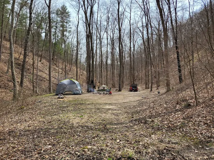 Green Ridge State Forest Campsite #85 6
