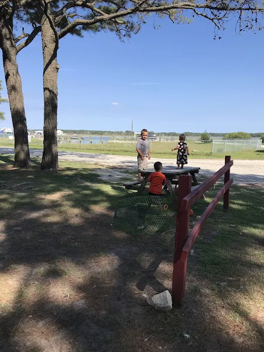 Tom's Cove Quarter Horses 6