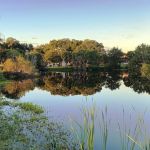 Florida Pines Mobile Home Ct