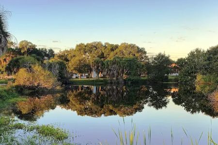 Florida Pines Mobile Home Ct