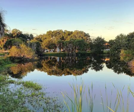 Florida Pines Mobile Home Ct
