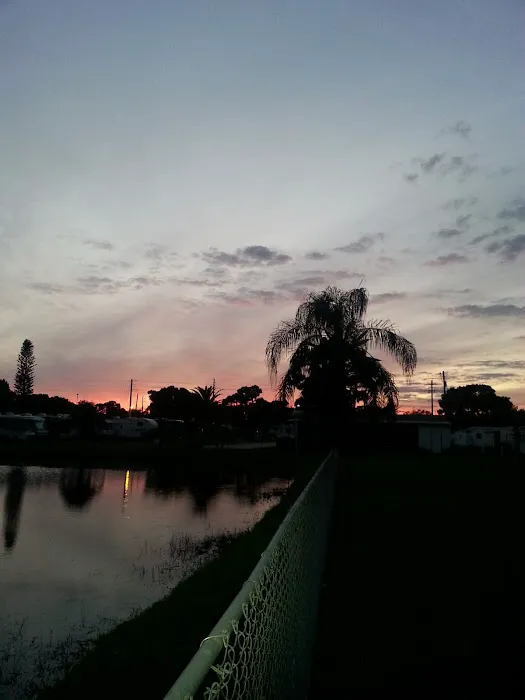 Florida Pines Mobile Home Ct 4