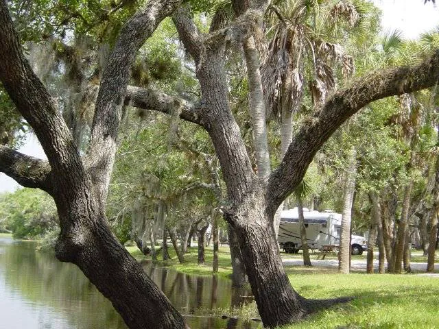 Camp Venice 9