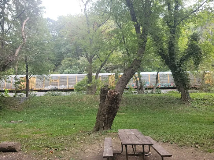 Bald Eagle Hiker Camper Campsite 2