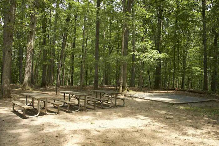 Robert C McDonell Campground 4