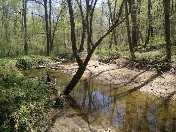 Robert C McDonell Campground 6