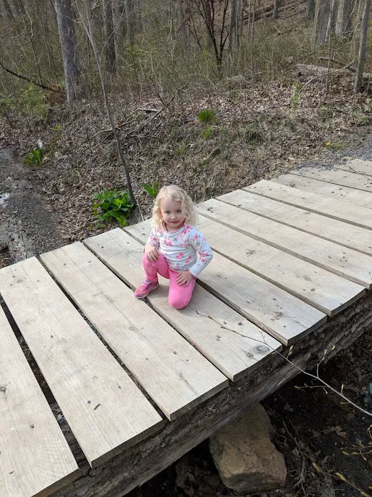 Robert C McDonell Campground 10
