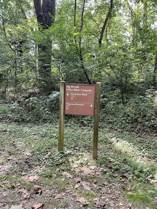 Big Woods Campsite 10