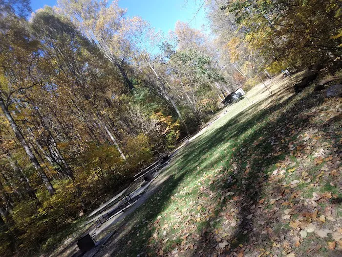 Dahlgren Backpacker Campground 3