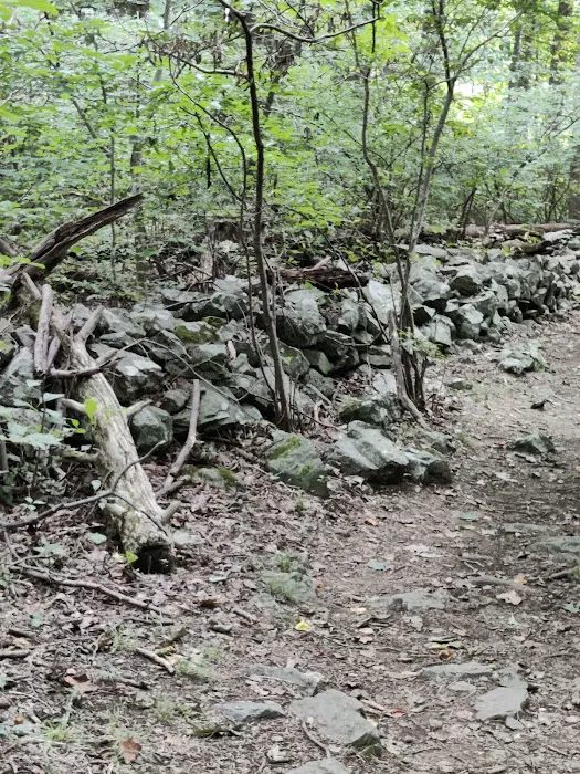 Dahlgren Backpacker Campground 6