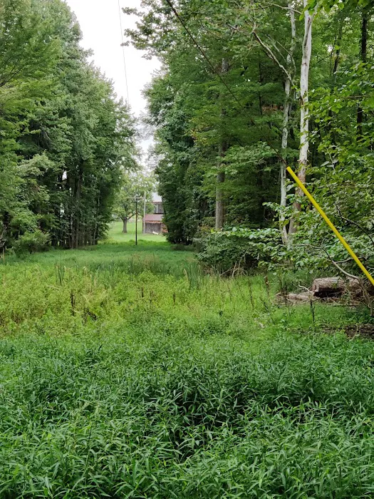Dahlgren Backpacker Campground 9