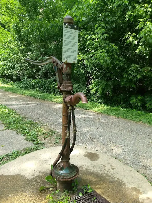 Opequon Junction Campsite 3