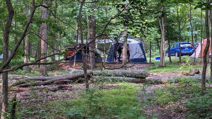 Dogwood Campground 6