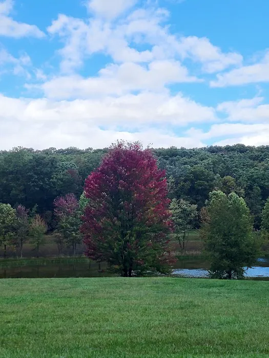 Cedar Campground 5