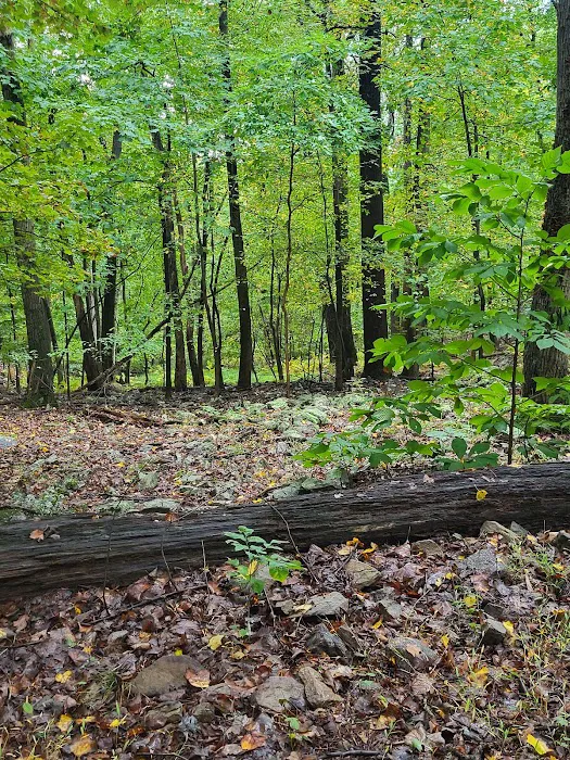 Cedar Campground 2
