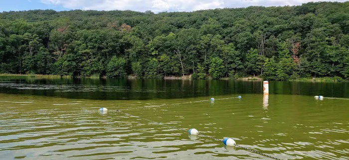 Birch Campground 3