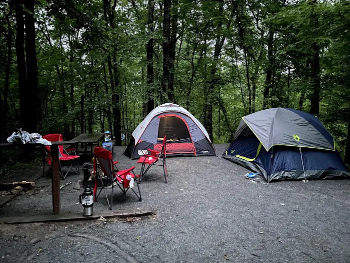 Birch Campground 6