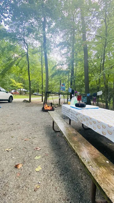 Ash Campground 2