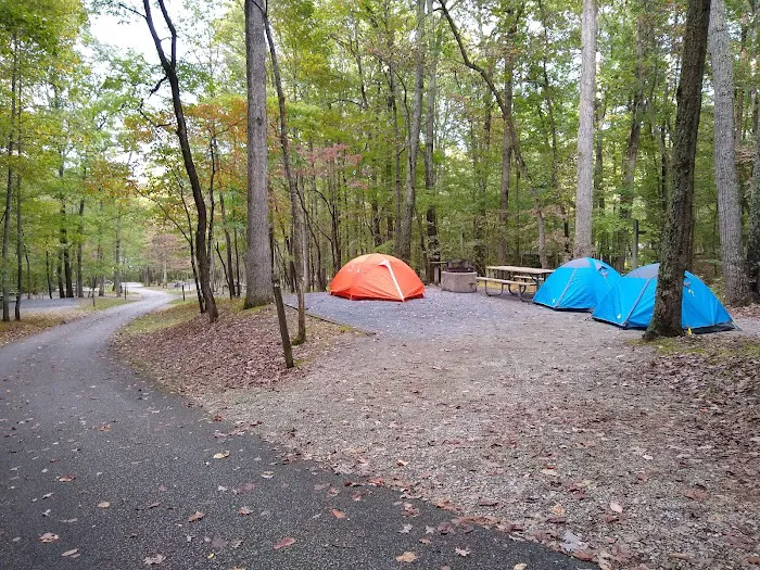 Ash Campground 3