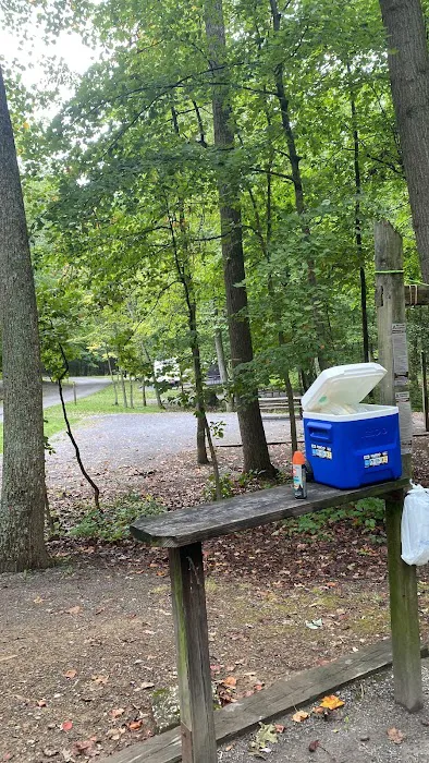 Ash Campground 4