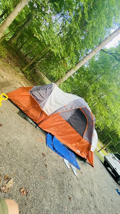 Ash Campground 8
