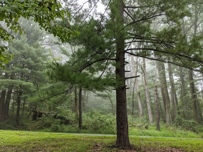 Rock Run Campground 6