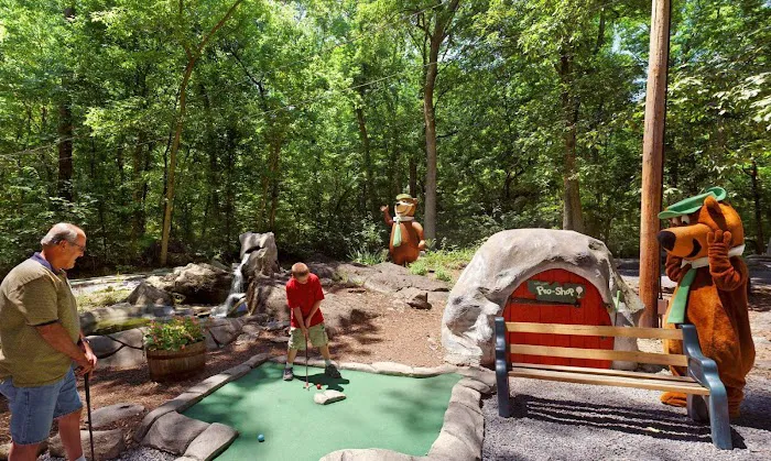Jellystone Park™ Williamsport 9