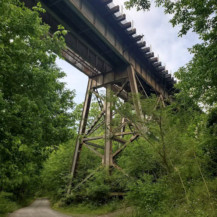 McCoys Ferry Campground 1