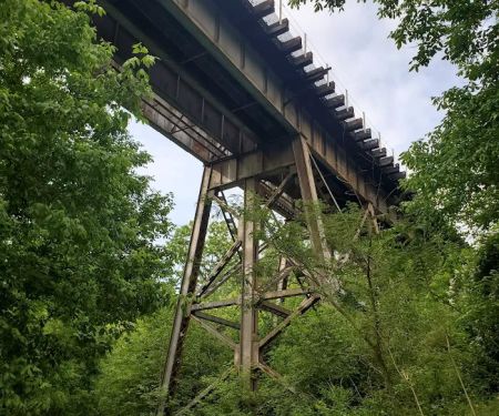McCoys Ferry Campground