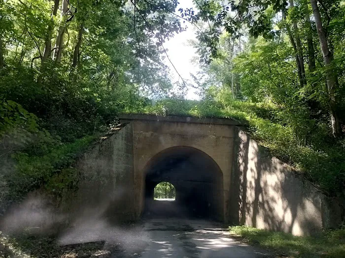 McCoys Ferry Campground 6