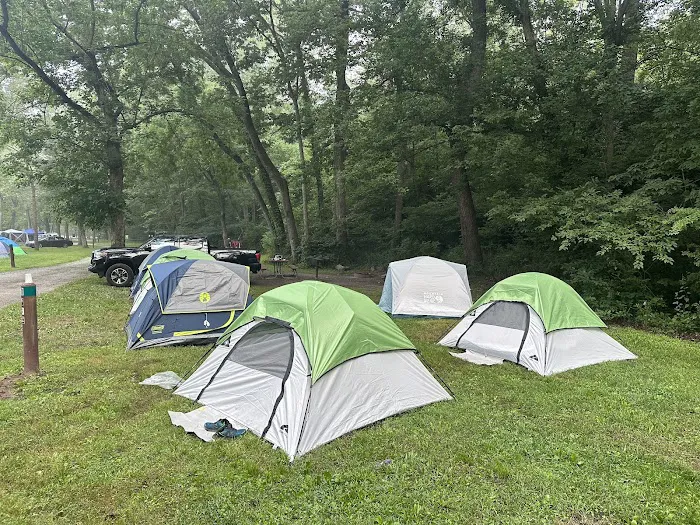 McCoys Ferry Campground 7