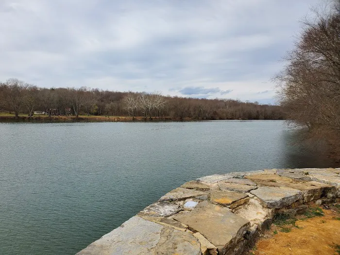 McCoys Ferry Campground 10