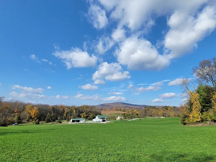 Glamping Clear Spring Maryland 3-Cabin Campground 4