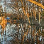 Camp Thomas by the Lake