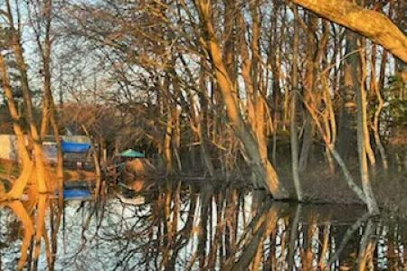 Camp Thomas by the Lake