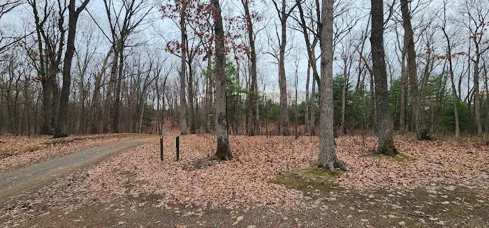 Campsite # 5 9