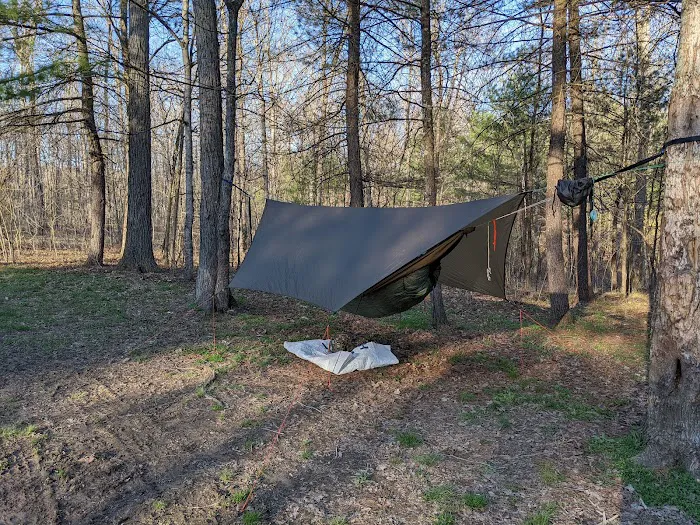 Green Ridge State Forest Camp Site #6 2